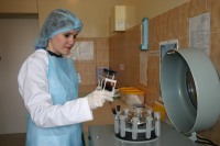 190 львів’ян пройшли тестування на гепатит С 