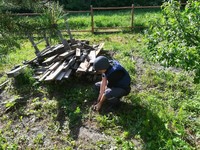 Рятувальники знищили 5 вибухонебезпечних предметів часів війни