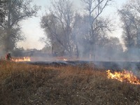 На Донеччині рятувальникам вдалось запобігти розповсюдженню полум’я на 30 житлових будинків та будівлю школи