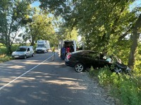 Зіткнувся з деревом: поліцейські Київщини встановлюють обставини ДТП