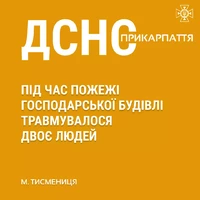 Внаслідок пожежі травмувалося двоє людей.