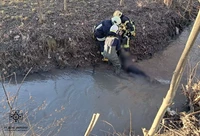 Рятувальники підняли на берег тіло утопленика