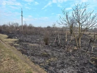 В регіоні збільшується кількість пожеж в екосистемах