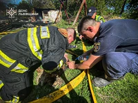 Дрогобицький район: вогнеборці винесли собаку з палаючої будівлі на свіже повітря