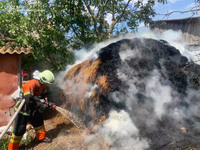 За добу рятувальники ліквідували дванадцять пожеж