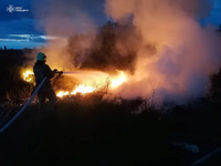 Ліквідовано загорання сміття