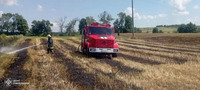 Минулої доби рятувальники Рівненщини ліквідували 5 пожеж на відкритій місцевості