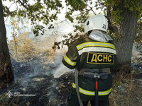 Кіровоградська область: підрозділи ДСНС ліквідували двадцять три пожежі на відкритих територіях