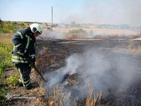 Кіровоградська область: підрозділи ДСНС ліквідували сорок дві пожежі в екосистемі