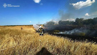 Кіровоградська область: підрозділи ДСНС залучались на гасіння двадцяти трьох пожеж в екосистемі