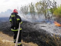 Кіровоградщина: за добу ліквідовано 36 пожеж на відкритих територіях громад