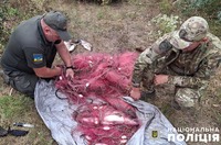 На Полтавщині поліцейські спільно з екологічною інспекцією викрили браконьєрів