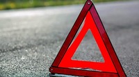 Зупинили втікача: у Самборі поліцейські охорони затримали водія після ДТП