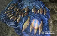 У Дністровському районі правоохоронці викрили двох місцевих жителів, які здійснювали незаконний вилов риби