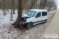 На Теребовлянщині п'яний водій не впорався з керуванням і потрапив у ДТП