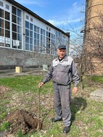 40 нових дерев від Павлоградтеплоенерго