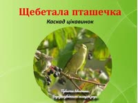 Щебетала пташечка