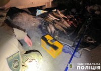 «Нерест-2025»: На Полтавщині поліція розпочала розслідування за фактом браконьєрства із застосуванням електроструму