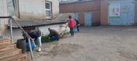 День Довкілля