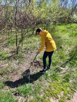 Всеукраїнський День довкілля