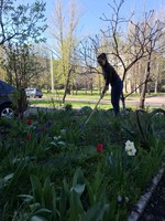 Всеукраїнський День довкілля