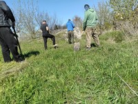Толока до Дня довкілля: у Кривому Розі долучилися працівники та клієнти пробації.