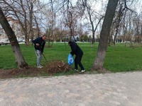 День довкілля