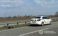На Полтавщині сталася ДТП, в якій загинув велосипедист: поліція працює на місці події