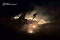 25 пожеж на Дніпропетровщині: вогонь знищив 19 гектарів природи