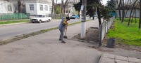 Пробація проводить толоку