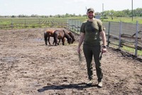 На Павлоградщині прихистили поні, евакуйованих із зони обстрілів