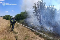 Вогонь у степах: понад 40 гектарів втрачено, у Павлограді нагадують про довічне ув’язнення за диверсію