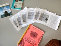 «Волонтерство в пробації: кроки до ефективної співпраці»