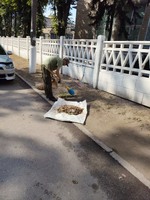 Громадські роботи як спосіб перевиховання злочинців та правопорушників