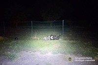 У Полтаві в ДТП постраждав водій мопеда: поліція з’ясовує обставини
