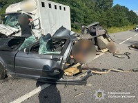 Поліція Вінниччини працює на місці смертельної ДТП у Хмільницькому районі
