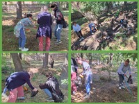 Чисте довіклля