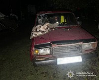 На Львівщині поліцейські повідомили про підозру водію, який вчинив смертельну ДТП та втік з місця події