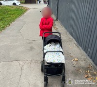 Поліцейські встановили осіб, причетних до крадіжки дитячого візка та сумки малолітньої