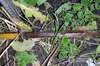 На Теребовлянщині через ревнощі чоловік ледь не зарізав сусіда: нападника затримали співробітники поліції