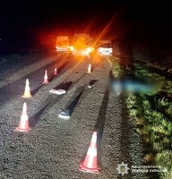 У Бердичівському районі поліція розслідує обставини ДТП зі смертельним травмуванням пішохода