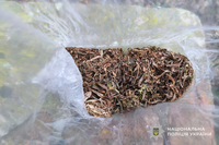 Поліцейські Чортківського району викрили два факти незаконного обігу наркотиків