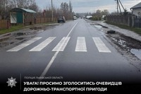 Увага! Просимо зголоситись очевидців дорожньо-транспортної пригоди