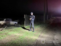 Поліція Одещини затримала 30-річного водія, який у стані алкогольного сп’яніння збив двох неповнолітніх дівчат і втік