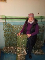 На Кременеччині активно реалізується урядовий проєкт «Армія відновлення»