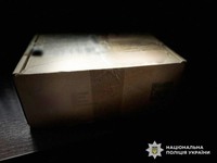На Житомирщині поліція викрила підпільного «постачальника» нелегального бурштину та наркотиків