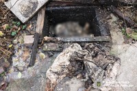 Вбив брата та сховав тіло у вигрібній ямі: поліцейські затримали 17-річного хлопця за підозрою у вчиненні особливо тяжкого злочину