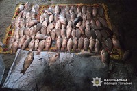 Незаконно виловили риби на 150 тисяч гривень: поліцейські Дніпропетровщини викрили порушників