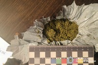 У Вінниці оперативники поліції затримали наркозакладчика із партією заборонених речовин