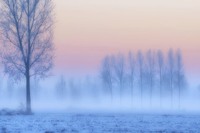 Зима змінює настрій: після морозів Дніпропетровщина зустріне тепліший і туманний тиждень